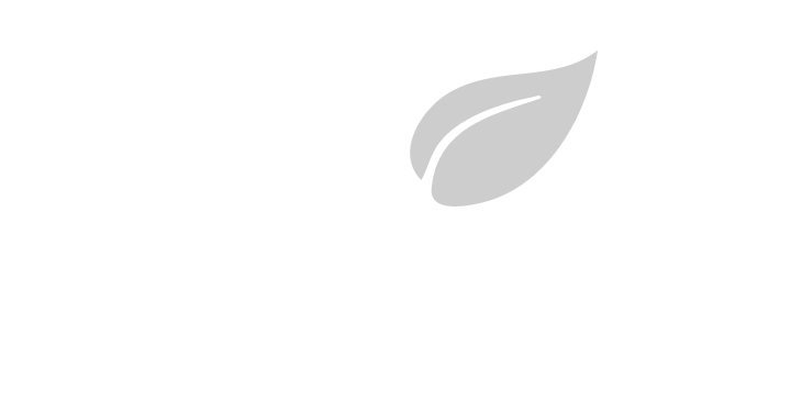 Elegancy Express