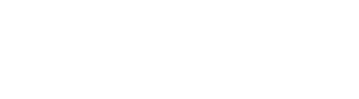 Elegancy Express
