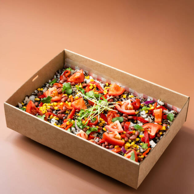 Mexican Wild Rice and Avocado Salad